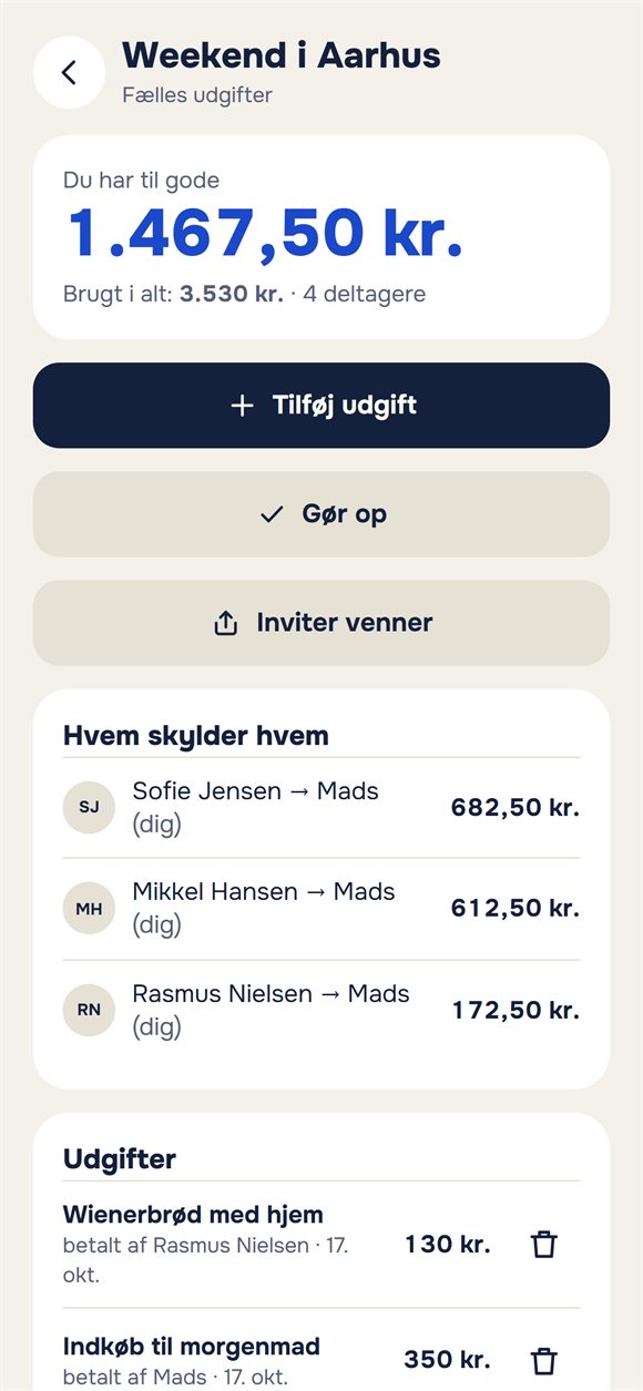 Udgifter på en tur: hvem der brugte hvor meget, og hvem der skylder hvem