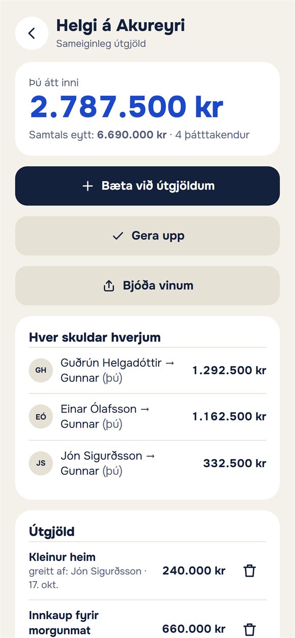 Útgjöld ferðar: hver eyddi hve miklu og hver skuldar hverjum